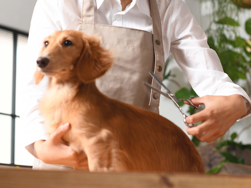 トリミング イメージ