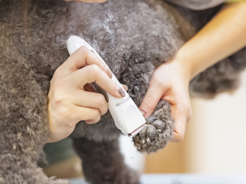 トリミング イメージ